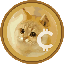 CatCoin icon